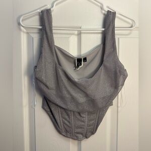 Silver/Sparkly Corset Top